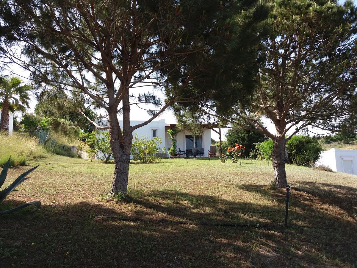 Villa Kos Masticharion Exteriör bild