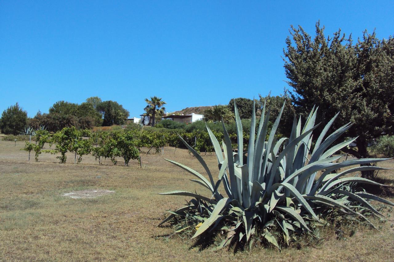 Villa Kos Masticharion Exteriör bild