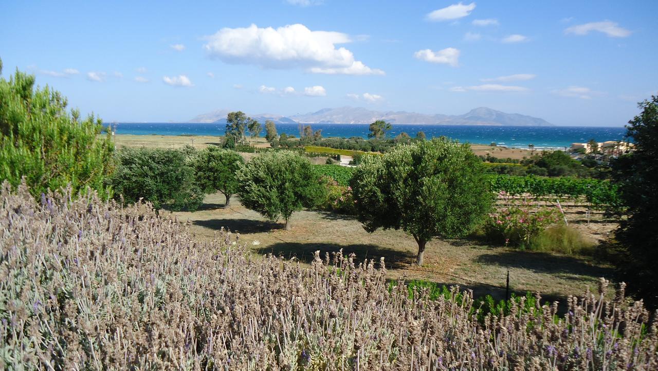 Villa Kos Masticharion Exteriör bild