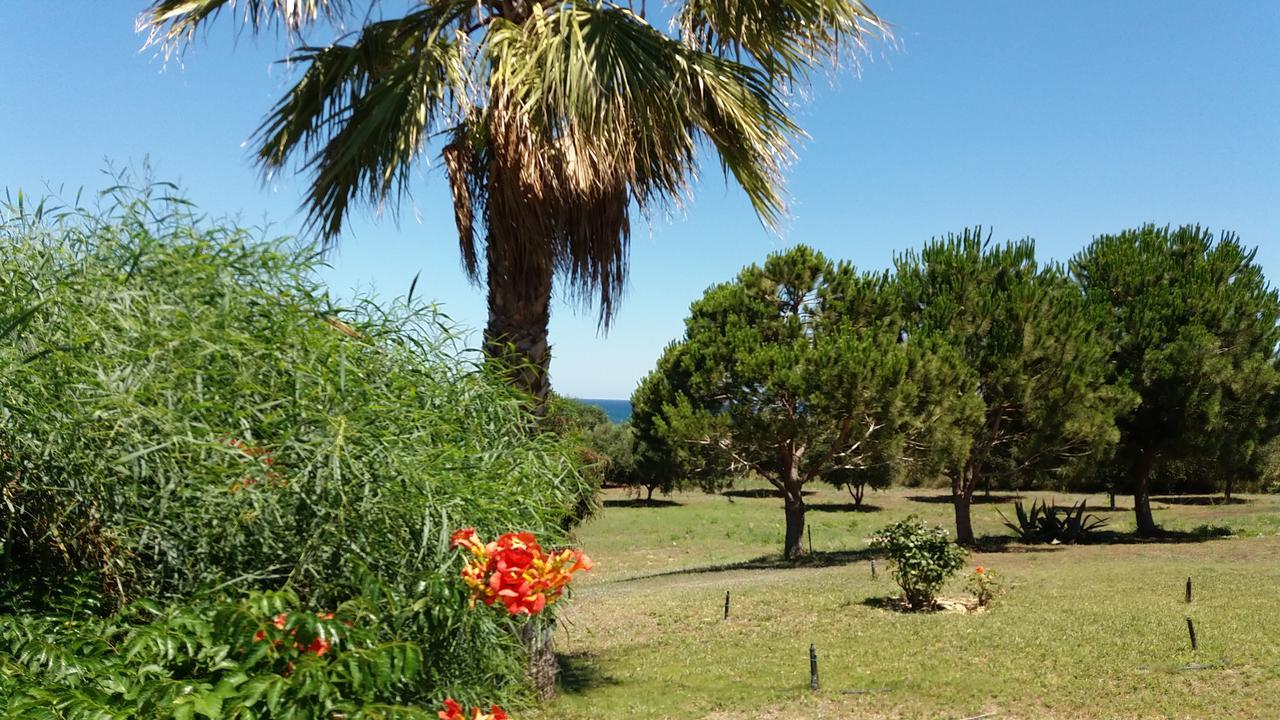 Villa Kos Masticharion Exteriör bild