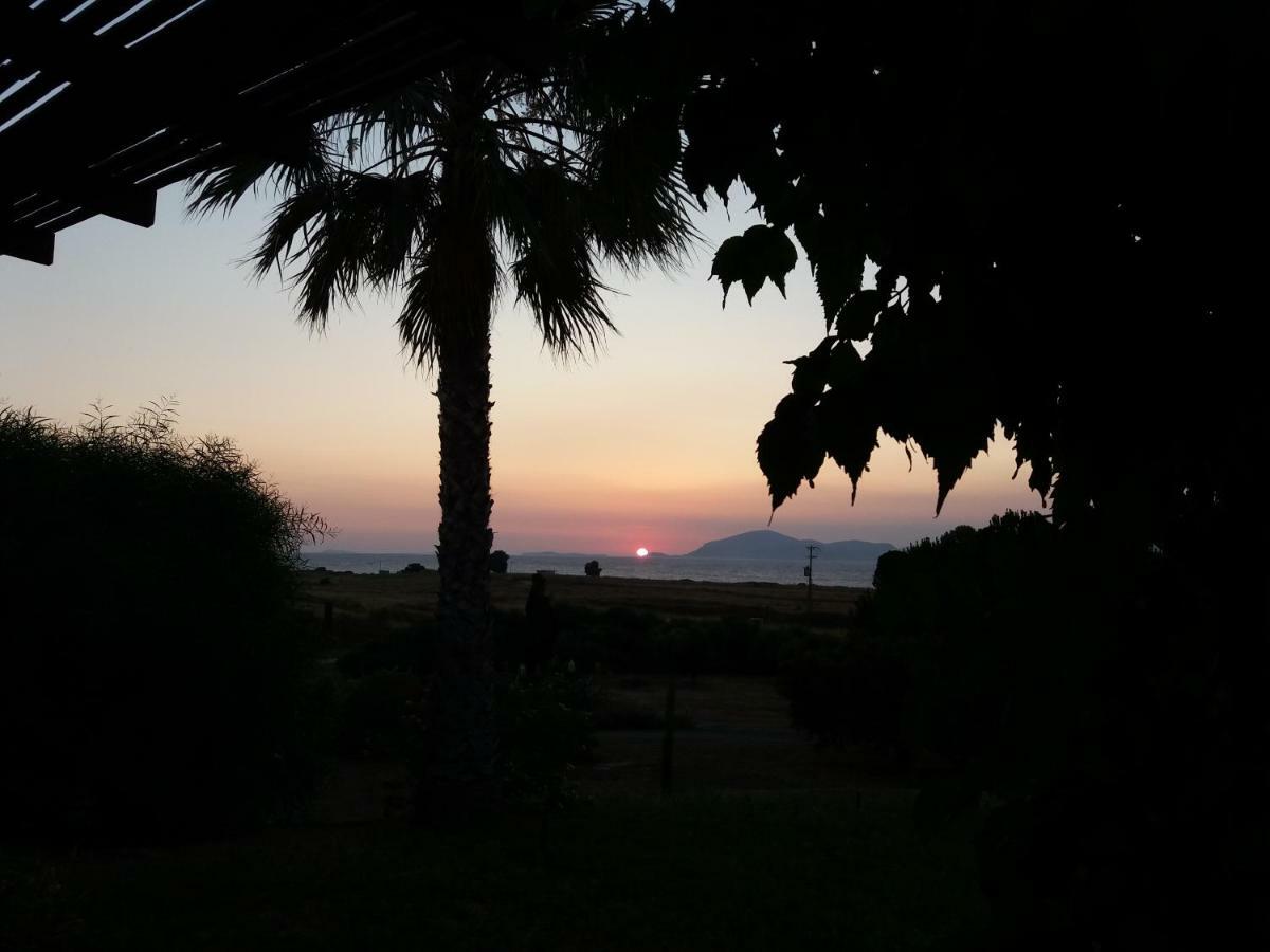 Villa Kos Masticharion Exteriör bild