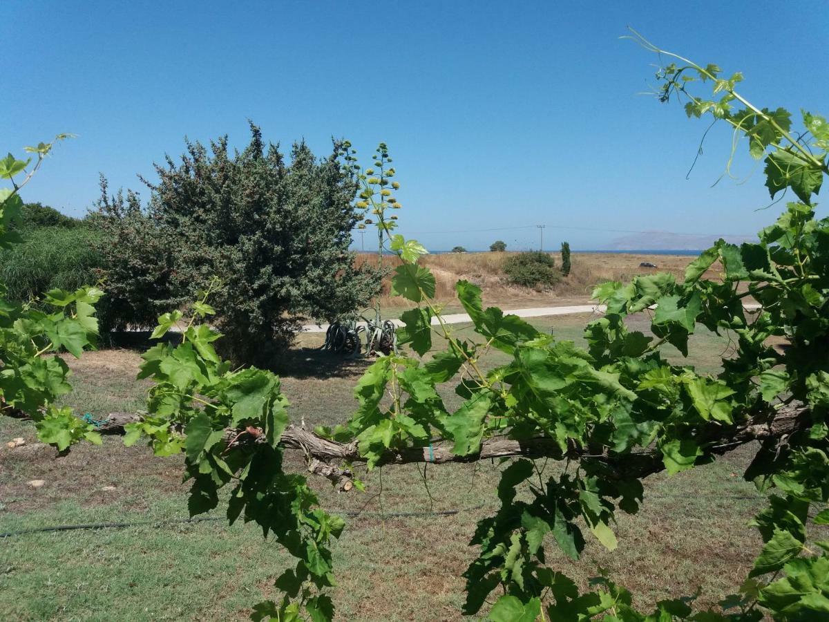 Villa Kos Masticharion Exteriör bild
